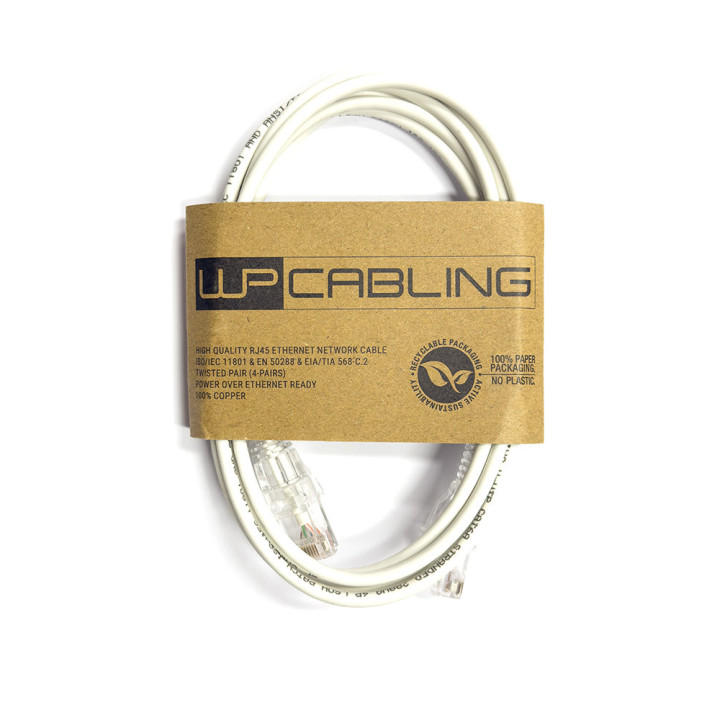 Cavo di rete U-UTP Cat 6A 2mt WP Cabling