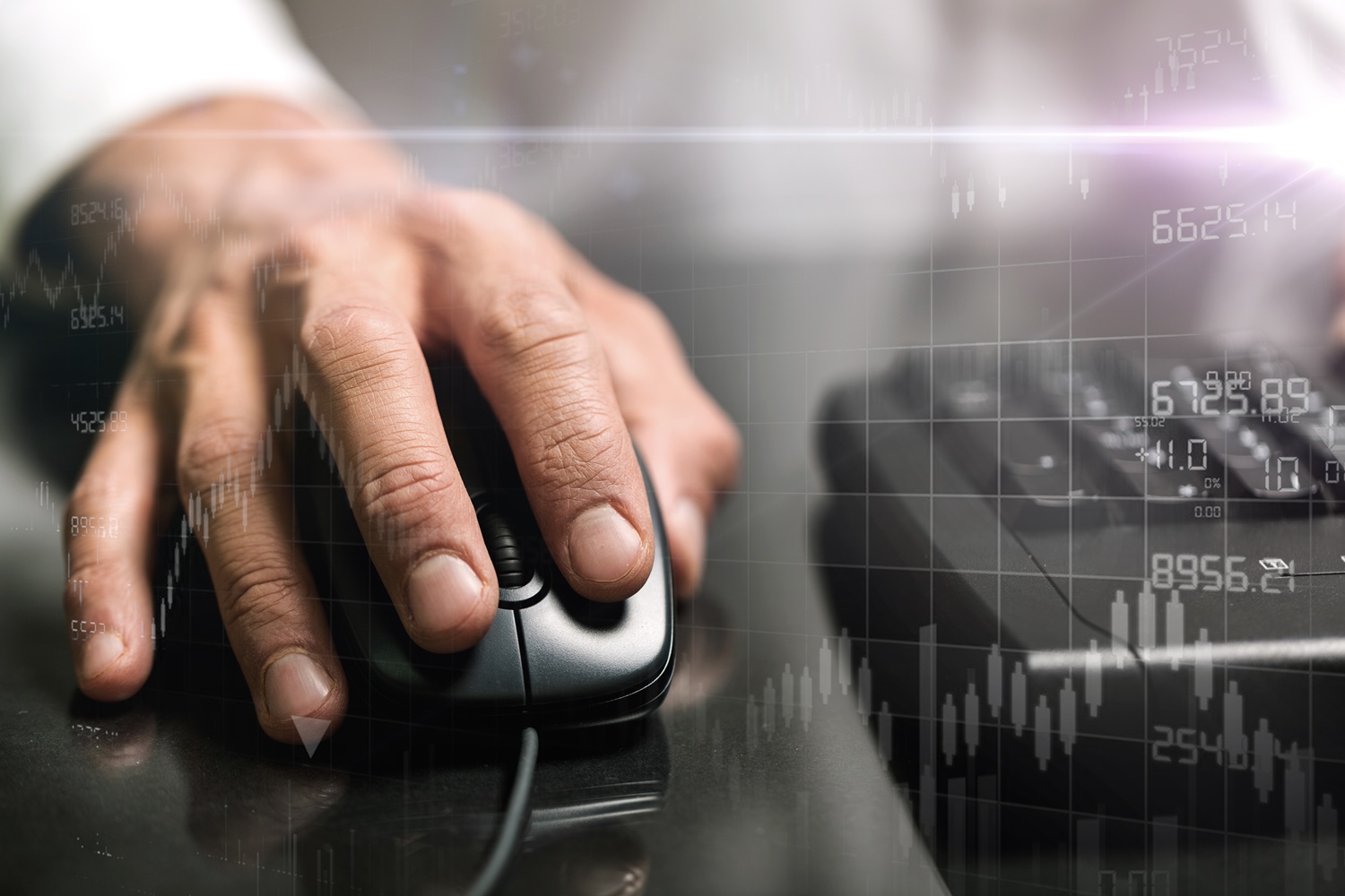 E-commerce e gestione utenti - Spiderbyte